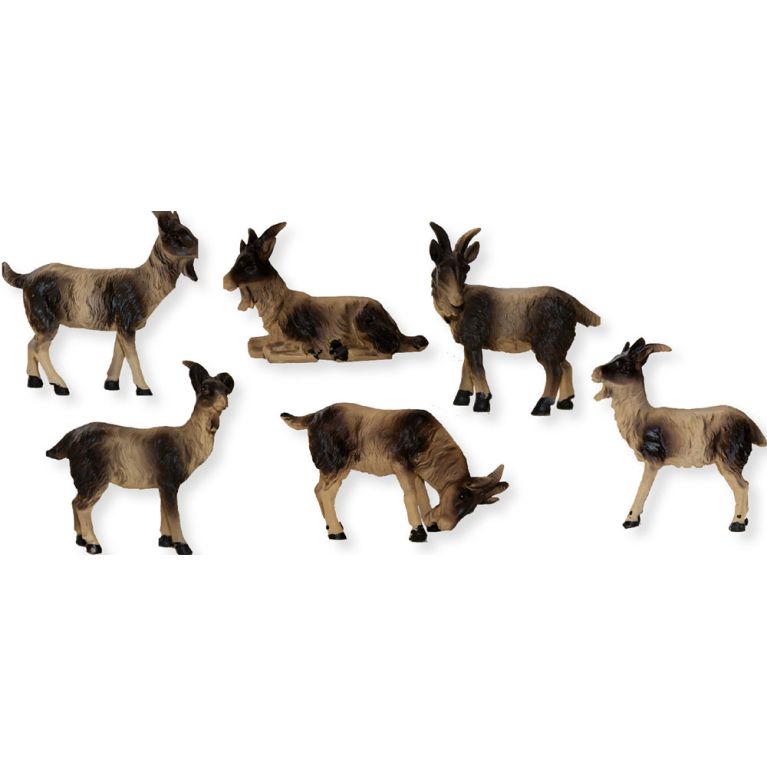 Troupeau de six chèvres